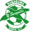 Yokohama Seagulls